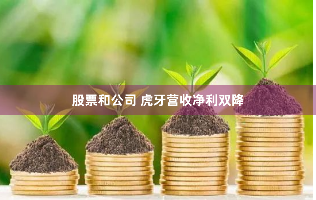 股票和公司 虎牙营收净利双降