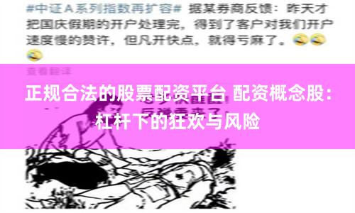 正规合法的股票配资平台 配资概念股：杠杆下的狂欢与风险