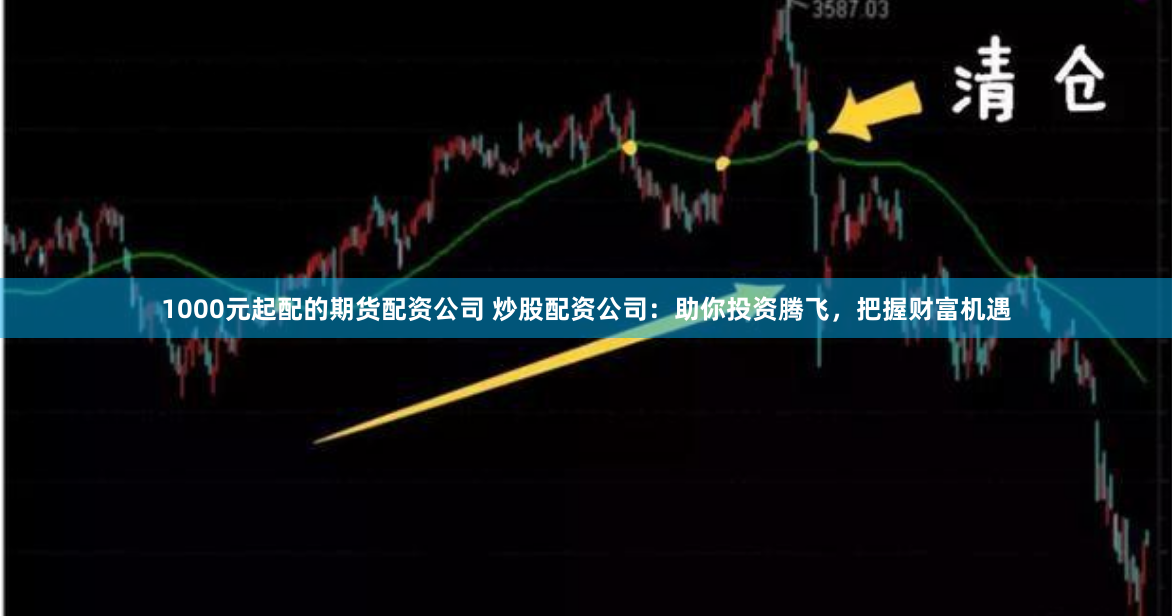 1000元起配的期货配资公司 炒股配资公司：助你投资腾飞，把握财富机遇